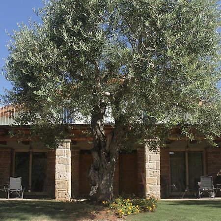 Casal Lluent Bed & Breakfast Alghero Exterior foto